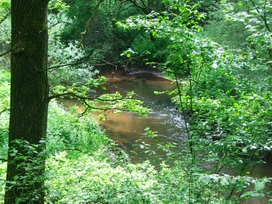 Gelders Nierskanaal in Landgoed de Hamert Gelders Nierskanaal in Landgoed de Hamert